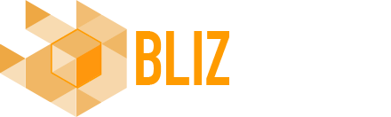 Bliz Studio, LLC. logo